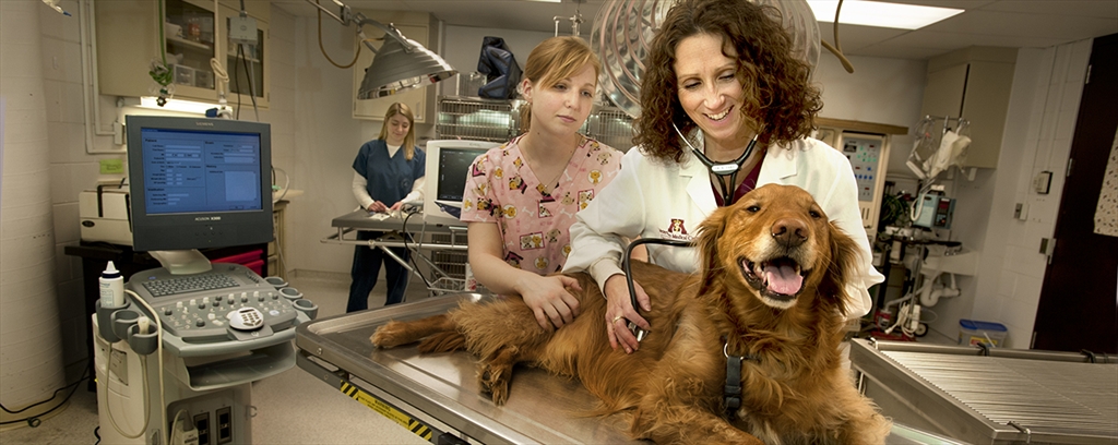 The University of Minnesota Alumni Association - Alumni Society: College of Veterinary Medicine The University of Minnesota Alumni Association - Alumni Society: College of Veterinary Medicine